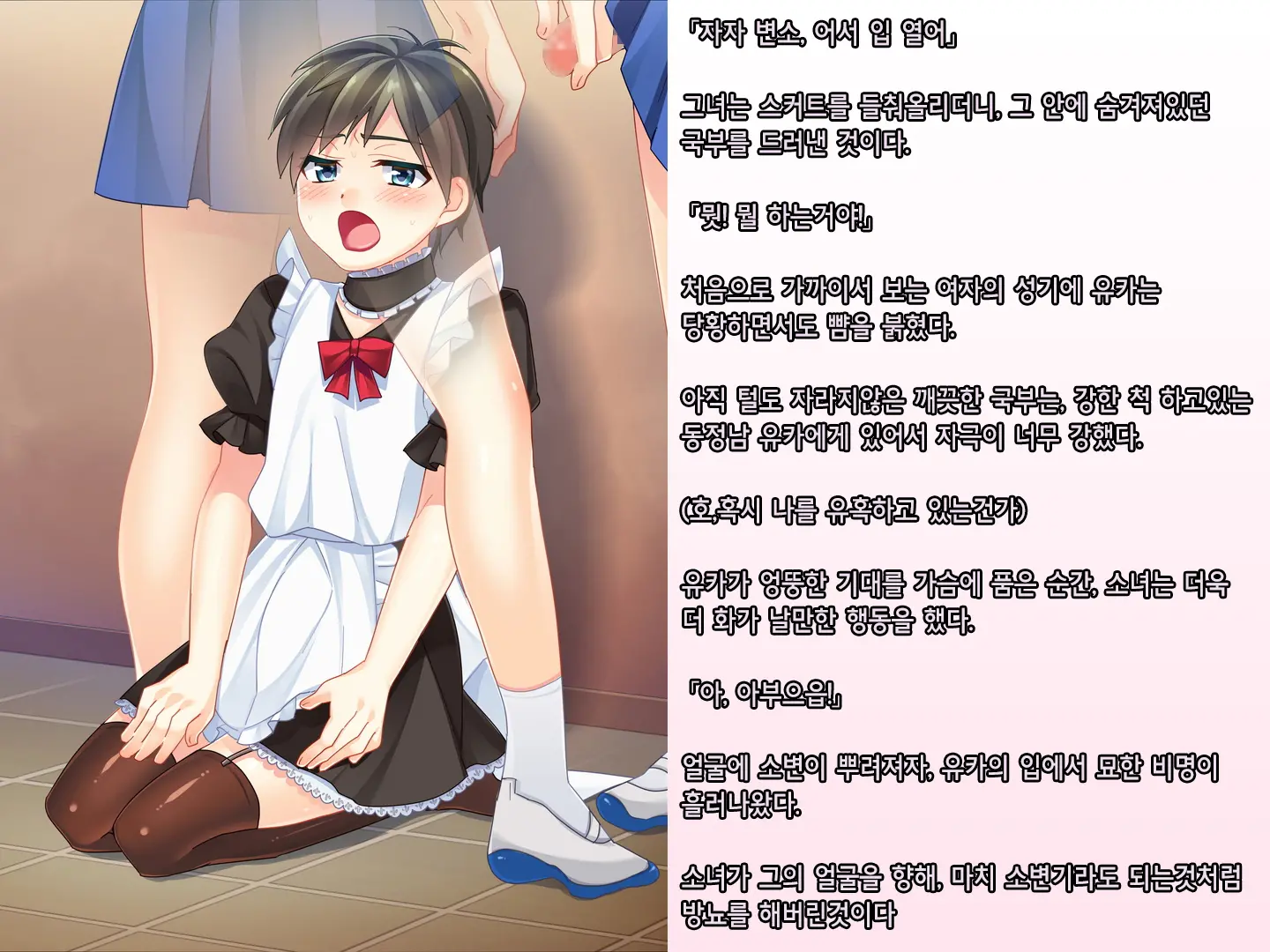 Skirt No Keibaku ~Furyou Shoujo Kyousei Shisetsu Nite Futanari Shoujo-Tachi Ni Josou Choukyou Sareru Furyou Shounen-Tachi~